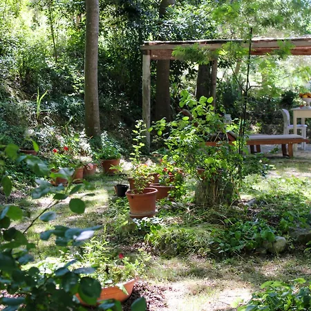 Апартаменты Dimora Selvatica *
